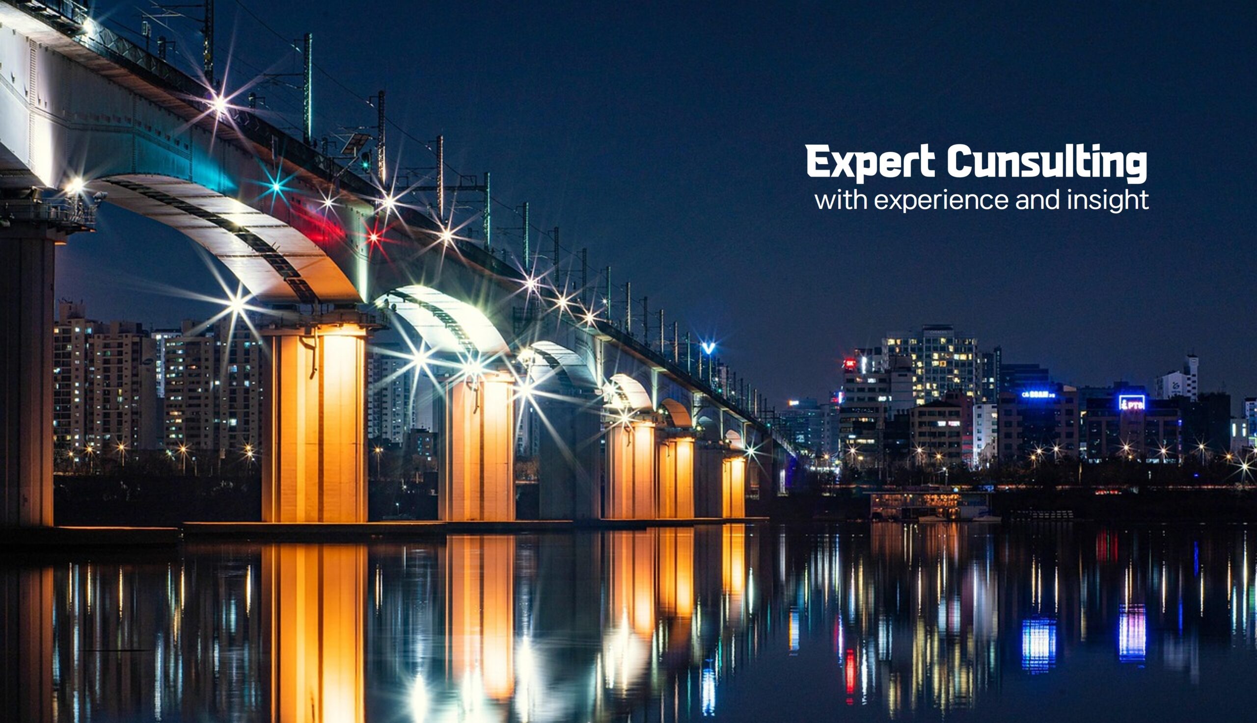 expert consulting